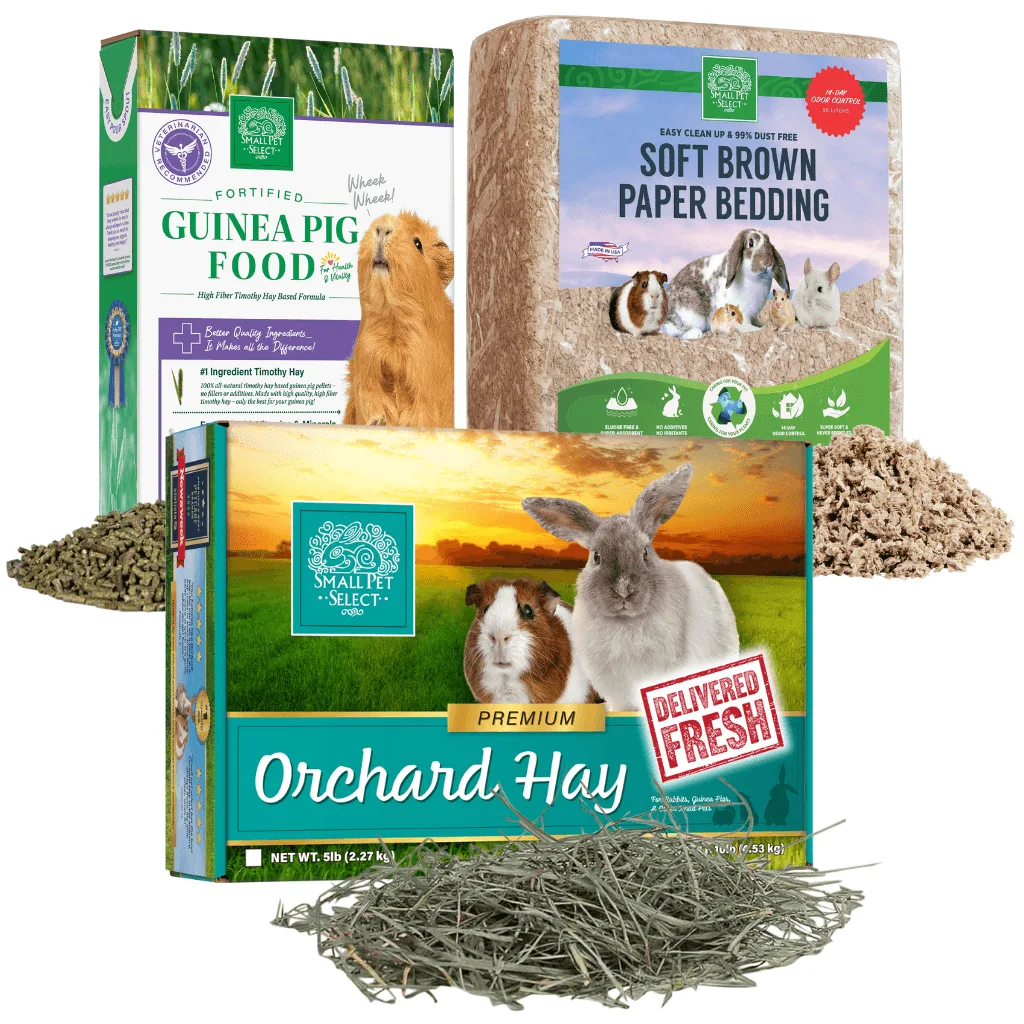 Orchard Hay vs Timothy Hay for Guinea Pigs