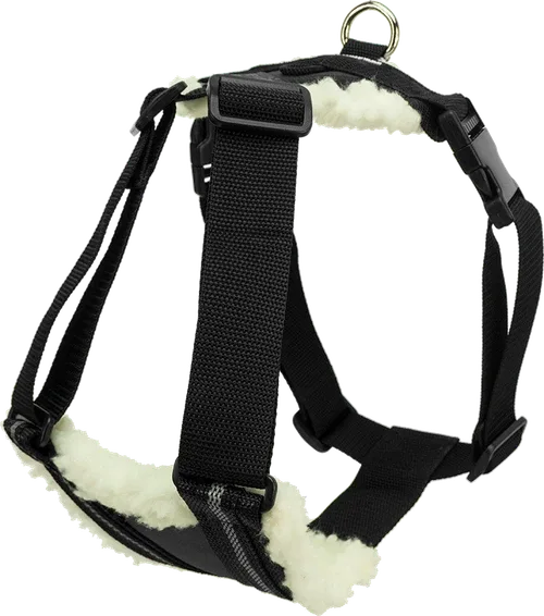 How to Choose a Dog Harness for Bike Riding