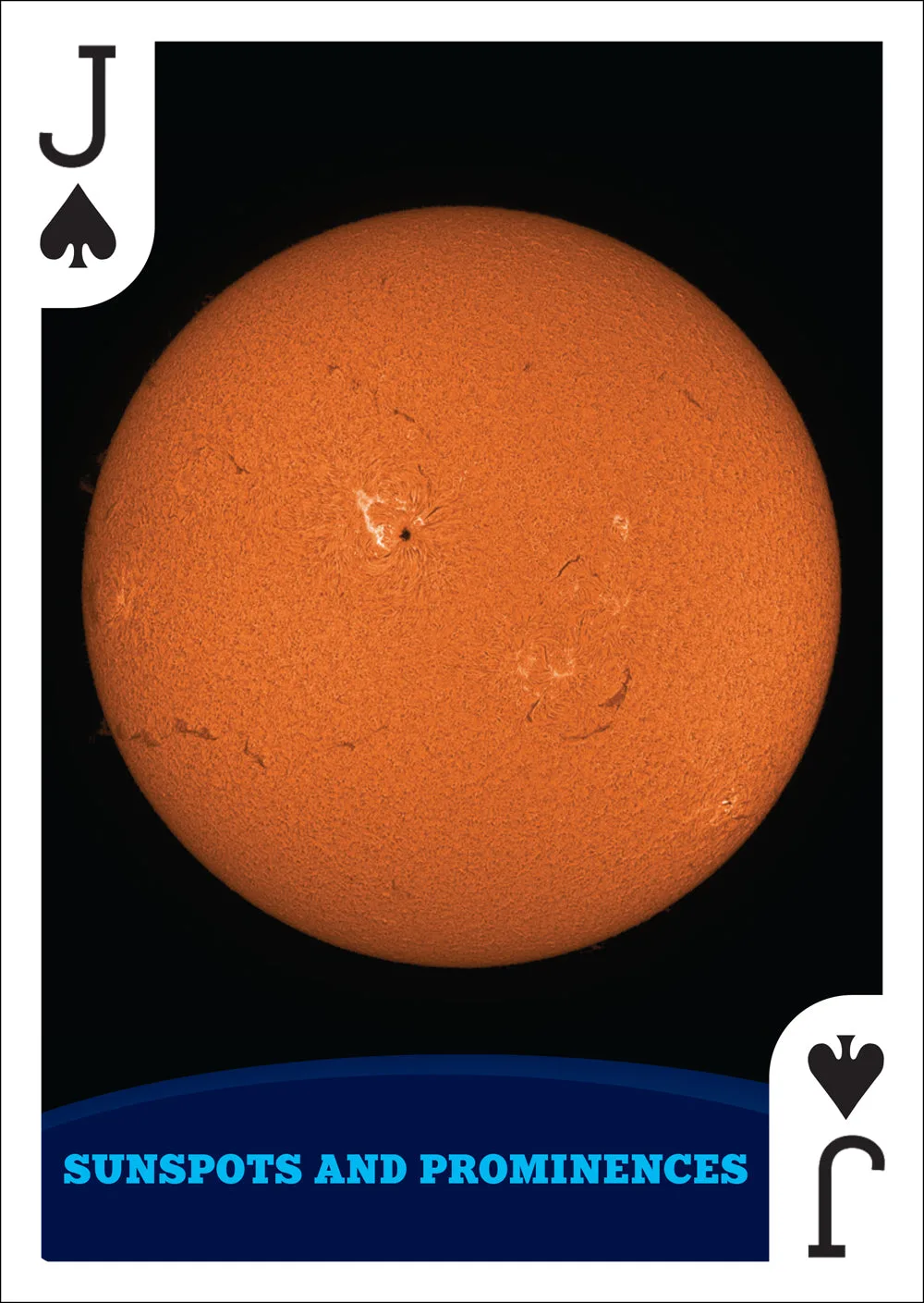 Night Sky Playing Cards: A Fun Astronomy Gift