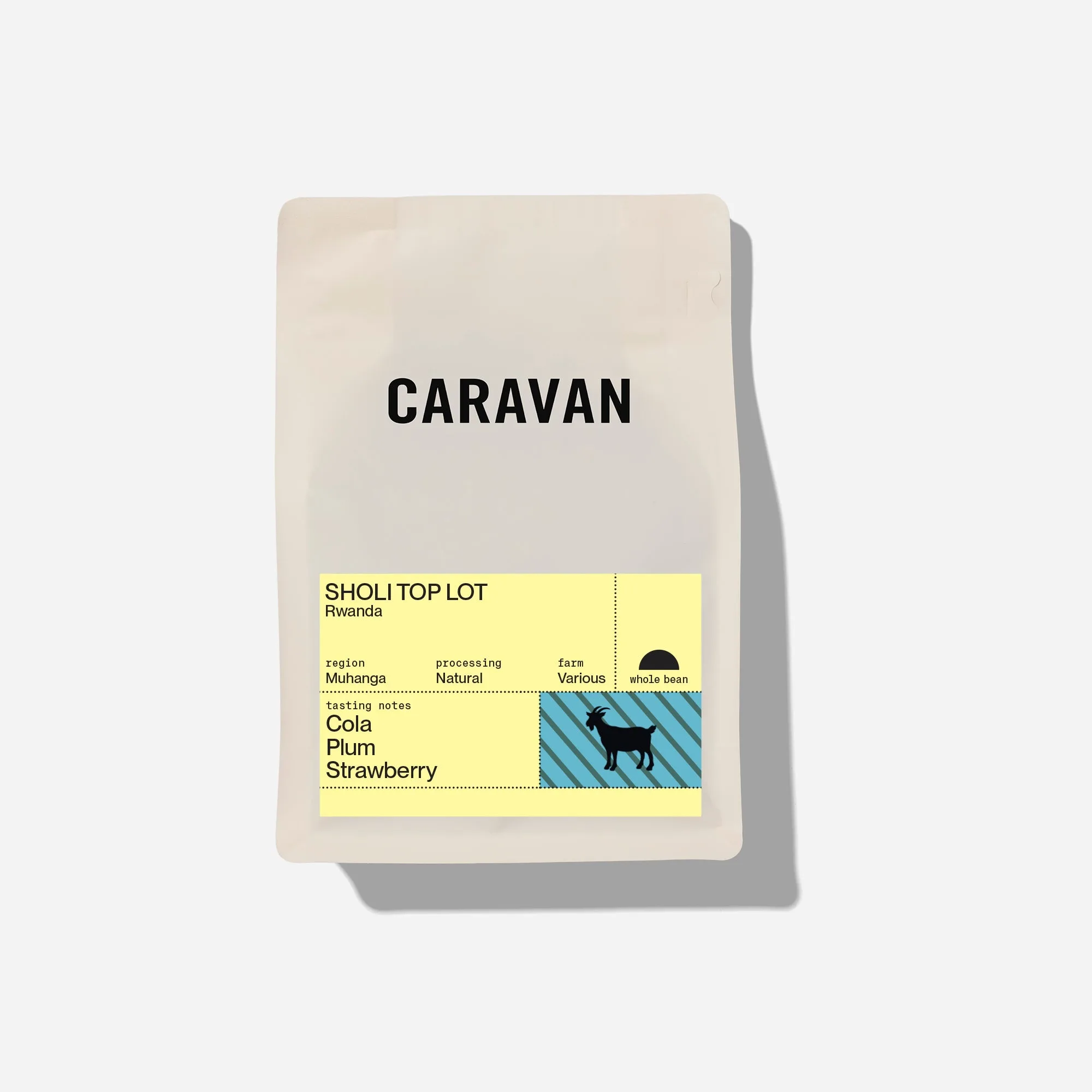 Myanmar Specialty Coffee: Flavor Profiles and Brewing Tips