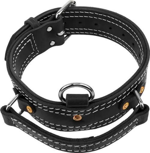 Leather Collar with Flat Handle 2"