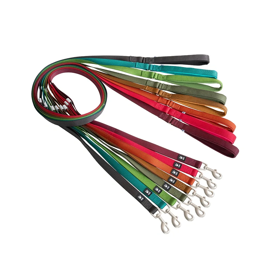 Weekend Warrior Standard Leash
