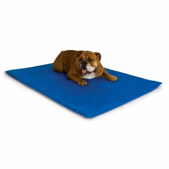 Cool Bed III vs Other Cooling Mats: What to Know