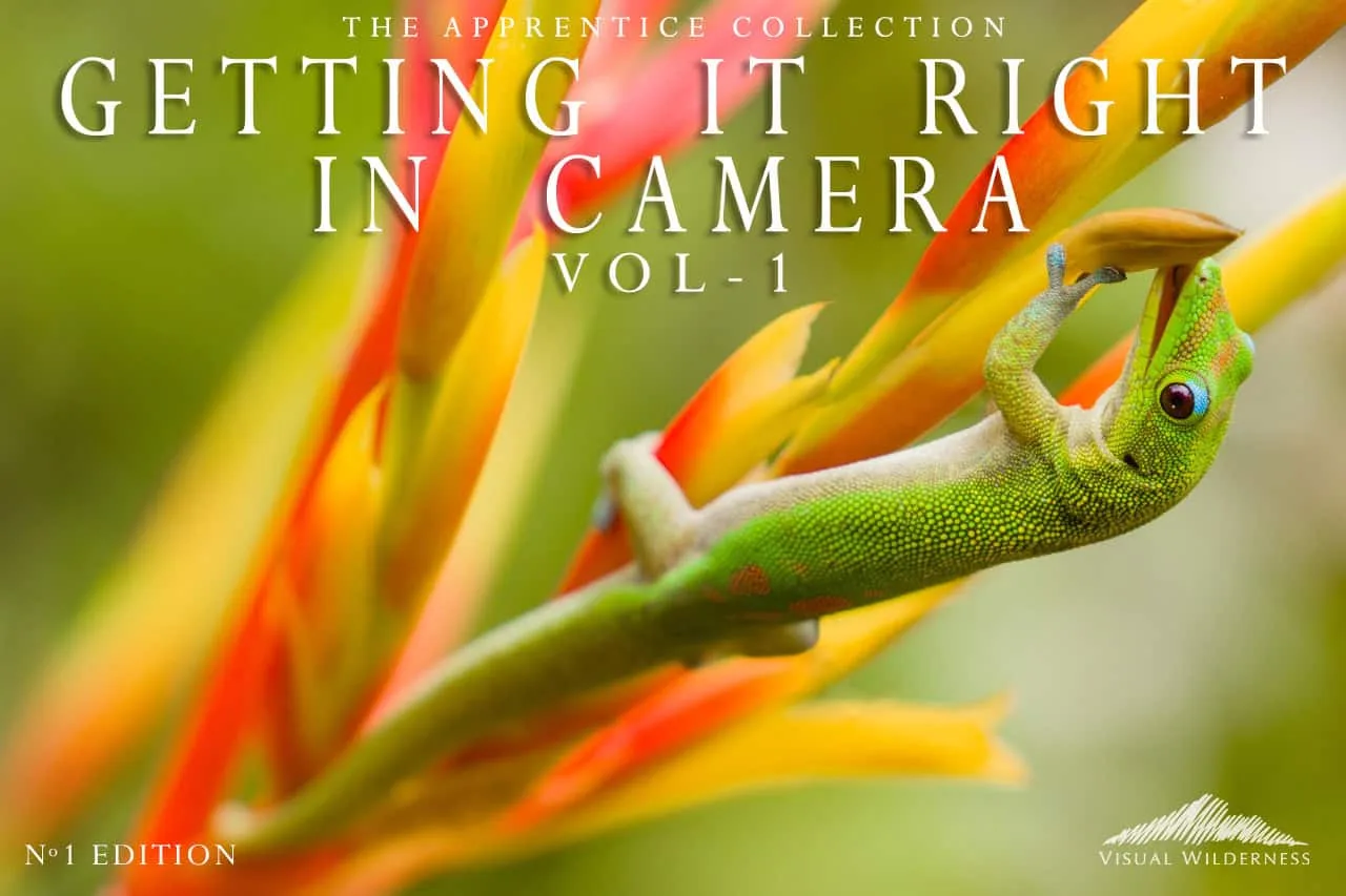 Lightroom vs Photoshop for Nature Photo Editing