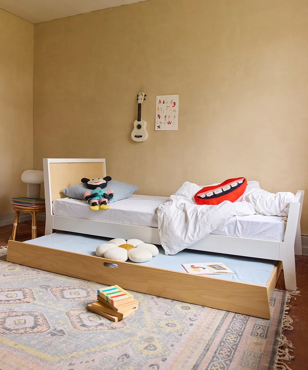 Bunk Bed vs Loft Bed: Which Is Right for Your Child's Room?