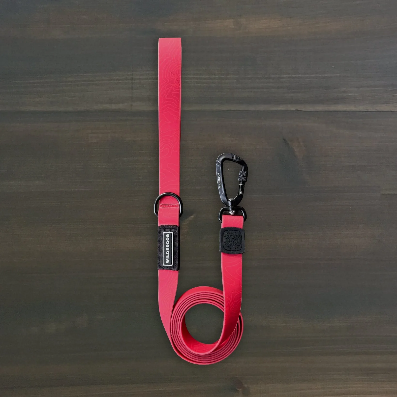 Waterproof Dog Gear Buying Guide: Stay Dry in Wet Climates
