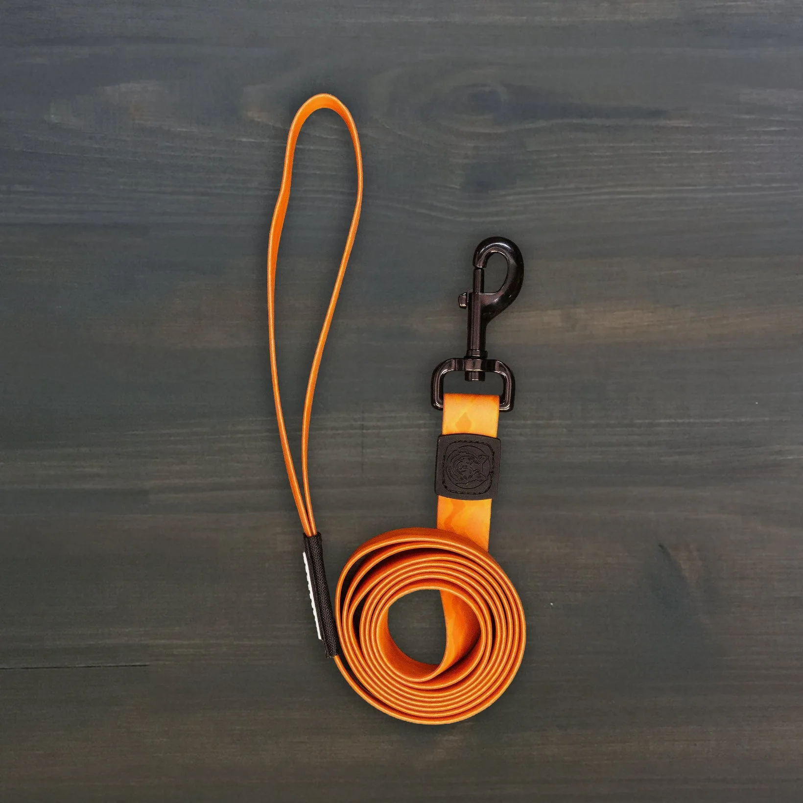 Waterproof Collar vs Ultralight Collar: Which Is Best for Your Dog's Adventures?