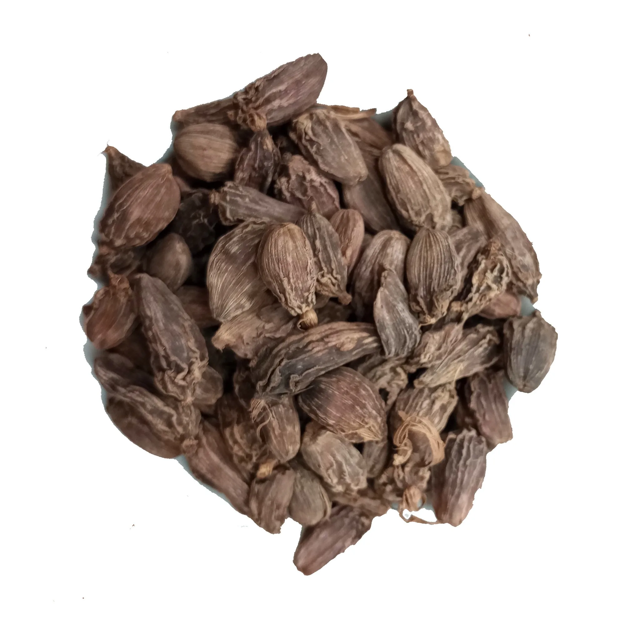 Black Cardamom vs Green Cardamom: What's the Difference?