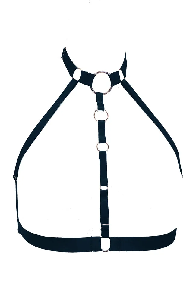 Tri Harness vs Ternary Harness: Key Differences