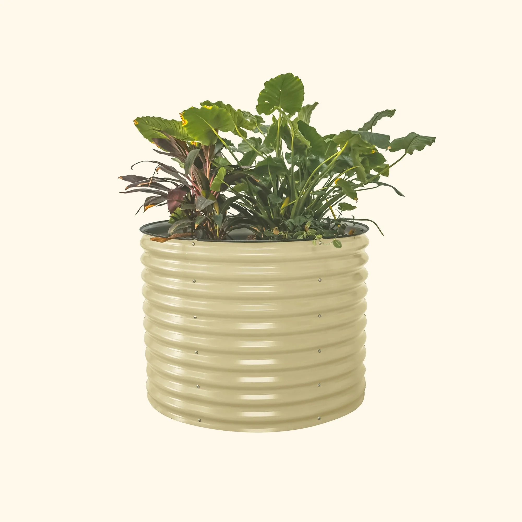 O que cultivar num canteiro elevado redondo extra alto de 32 polegadas