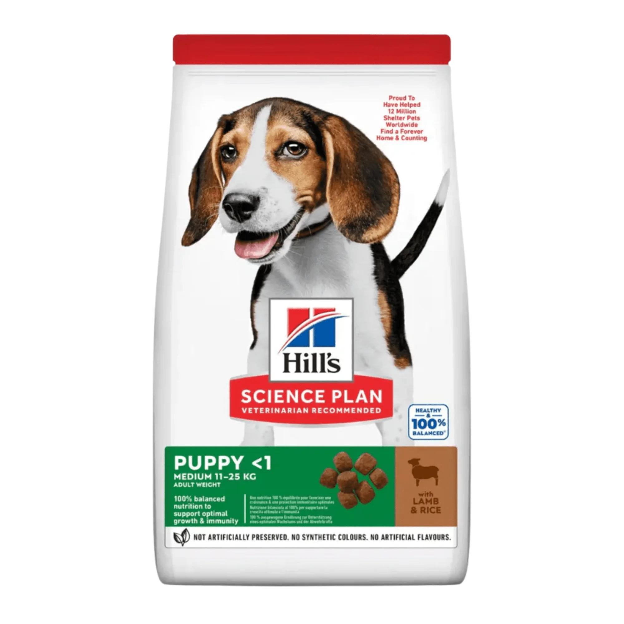 子犬用フードと成猫用フードの違い