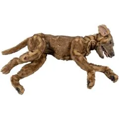 K-9 Medical Simulator
