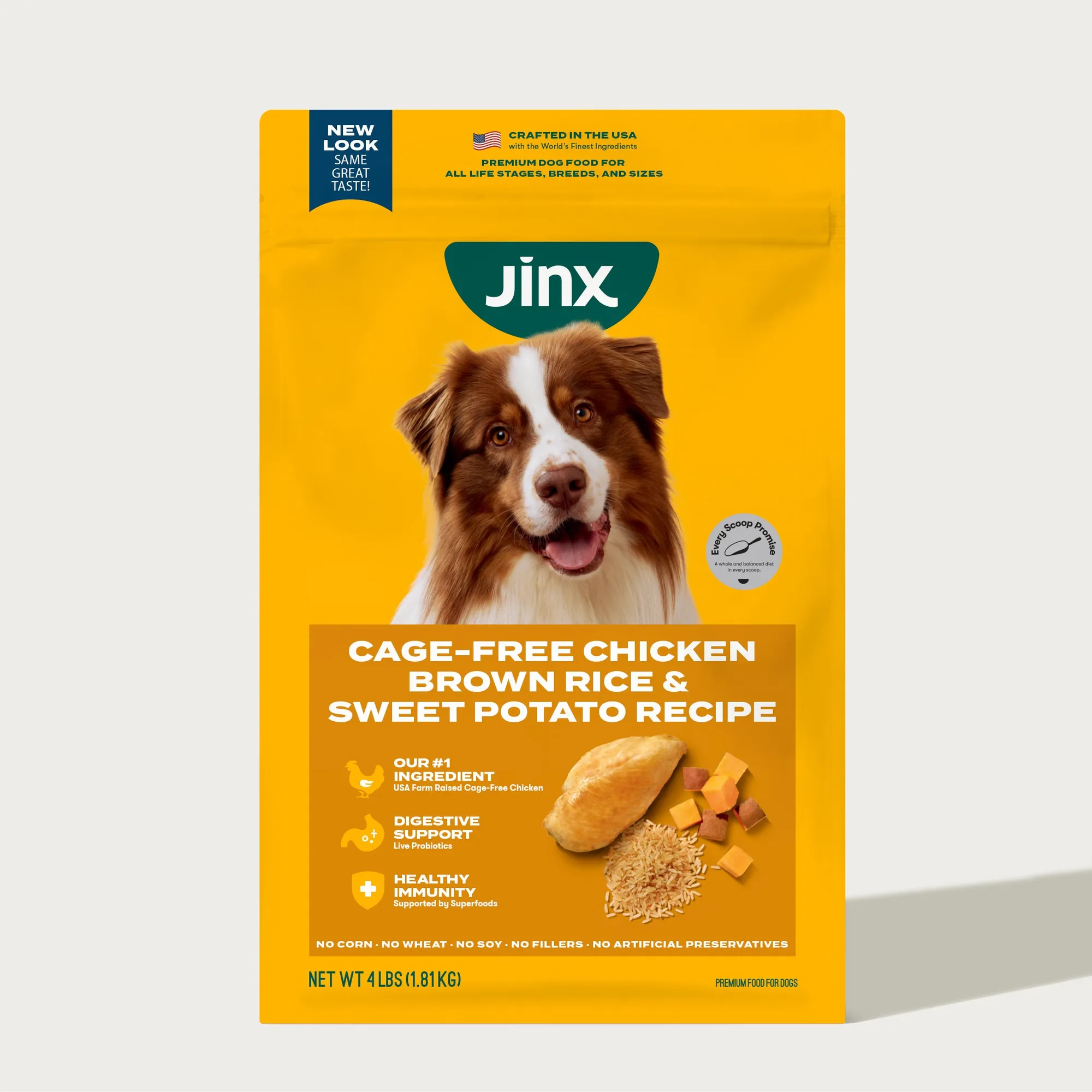 Cage-Free Chicken Dog Food Review: Single Protein Simplicity for Sensitive Dogs