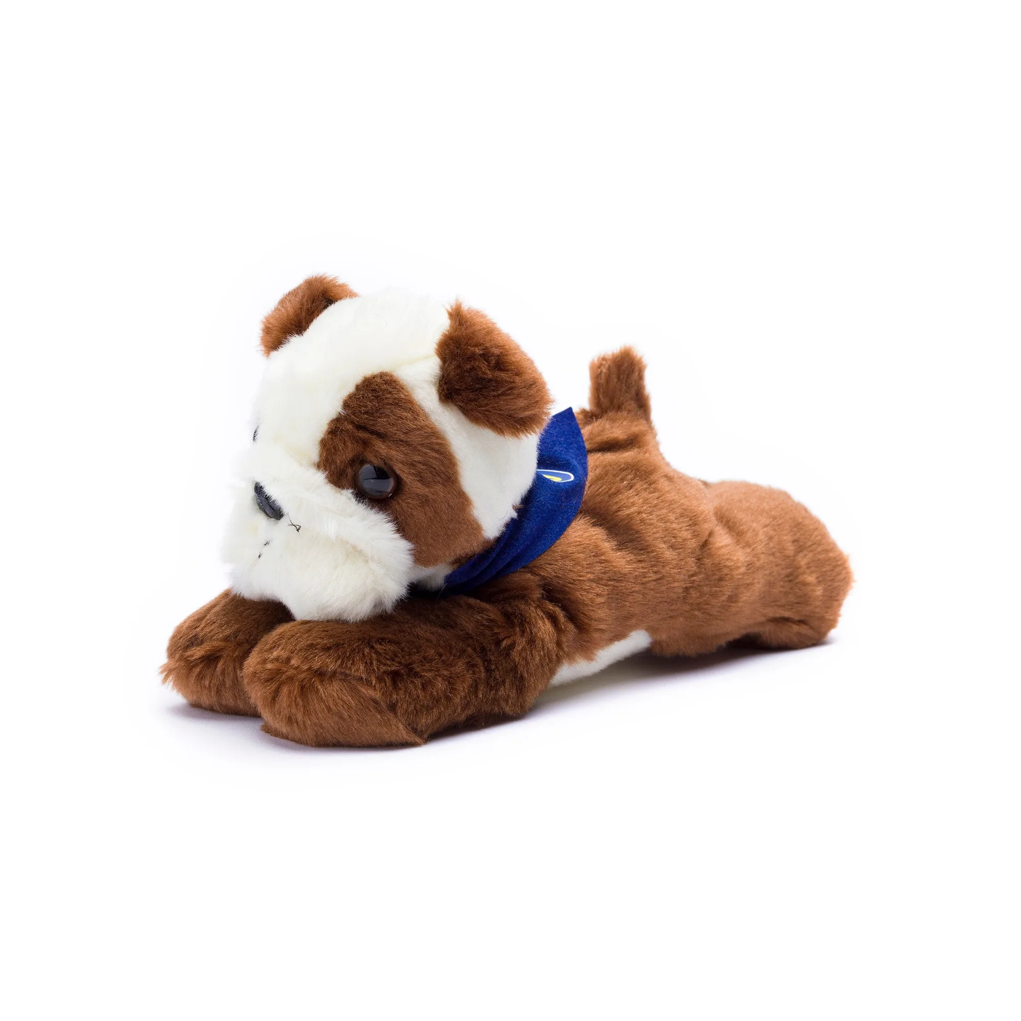 How to Gift a Stuffed Animal Dog: 5 Steps