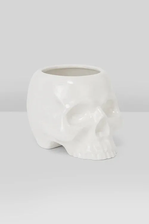 Pot crâne vs. vase cercueil : quel déco gothique choisir ?