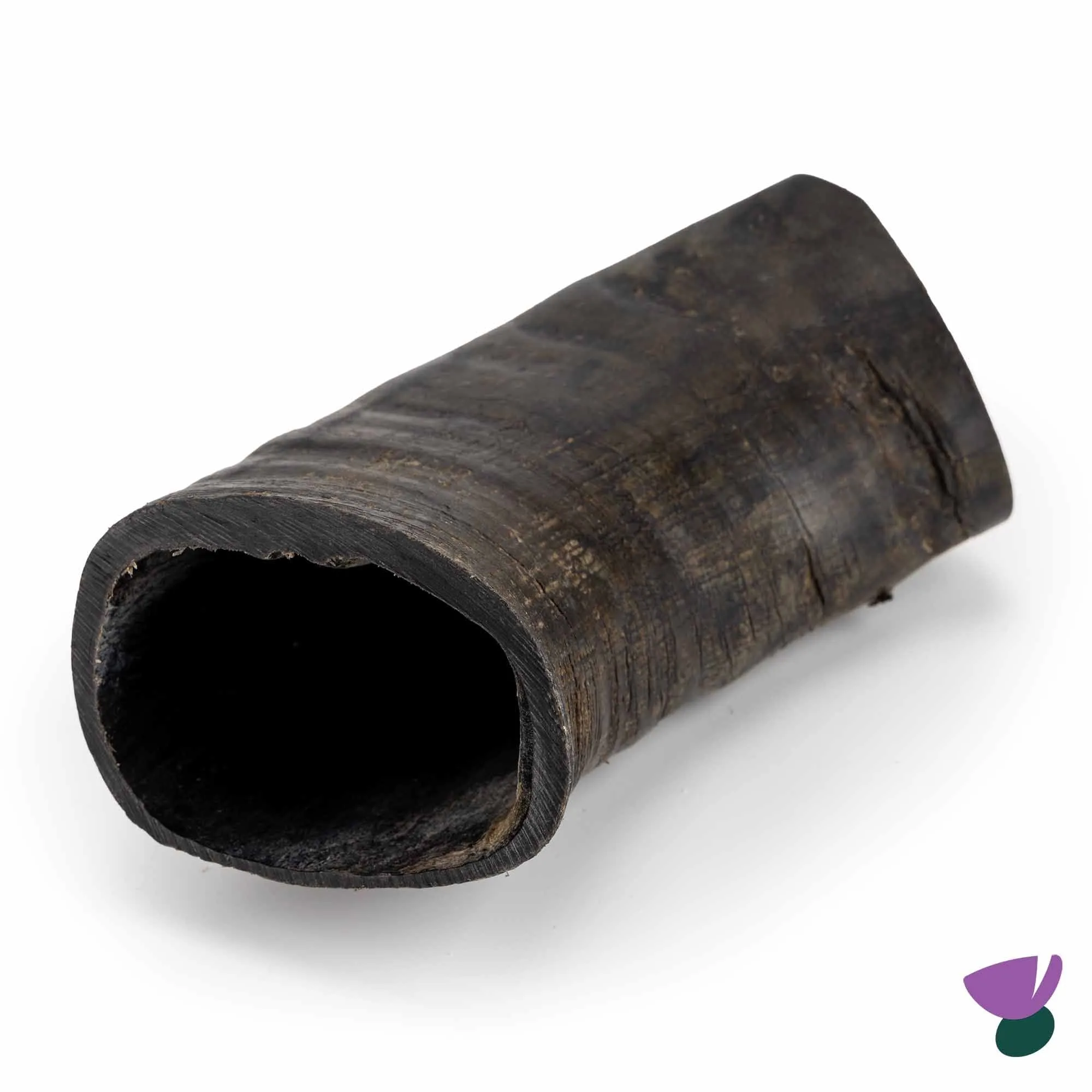 Thistlers Buffalo Horn Dog Chew - Giant
