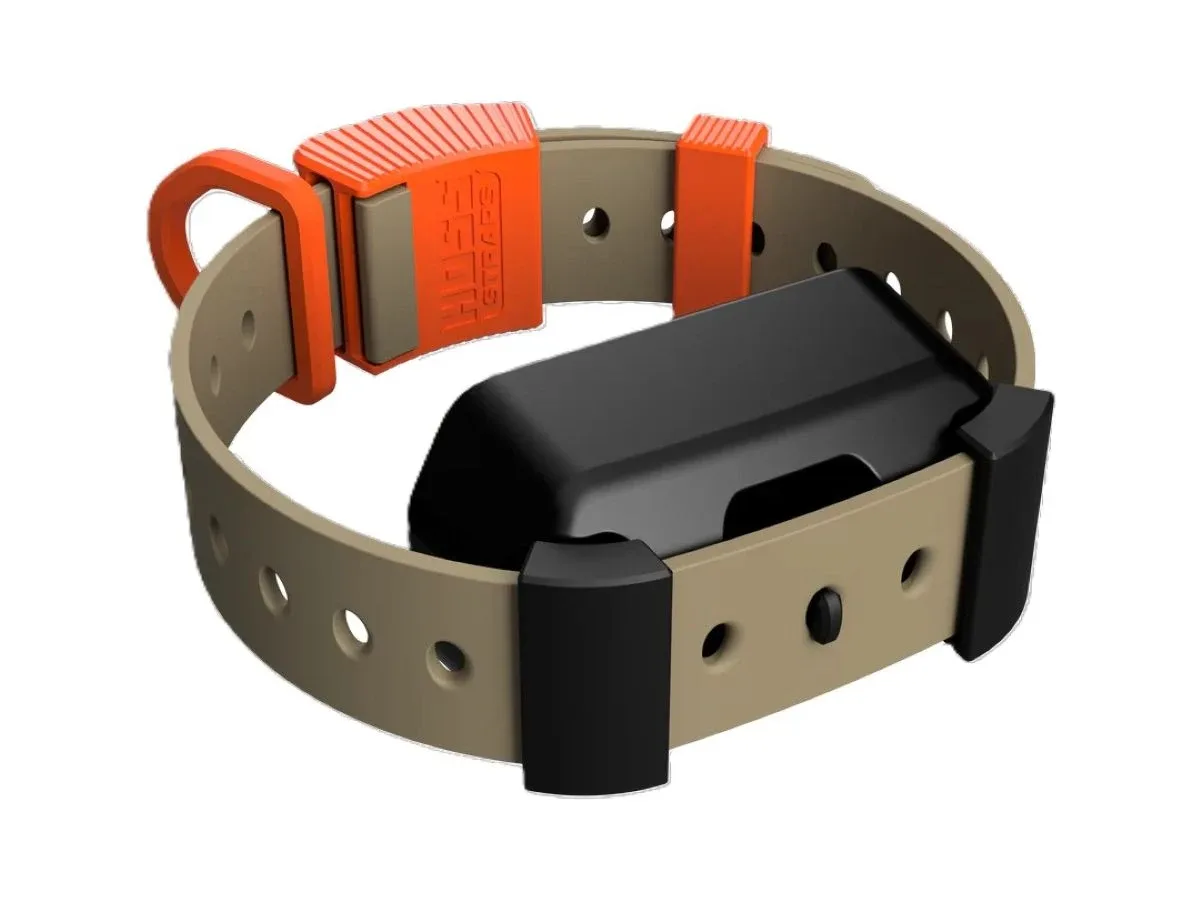 How to Fit a Hoss Straps Training Collar on Your Dog