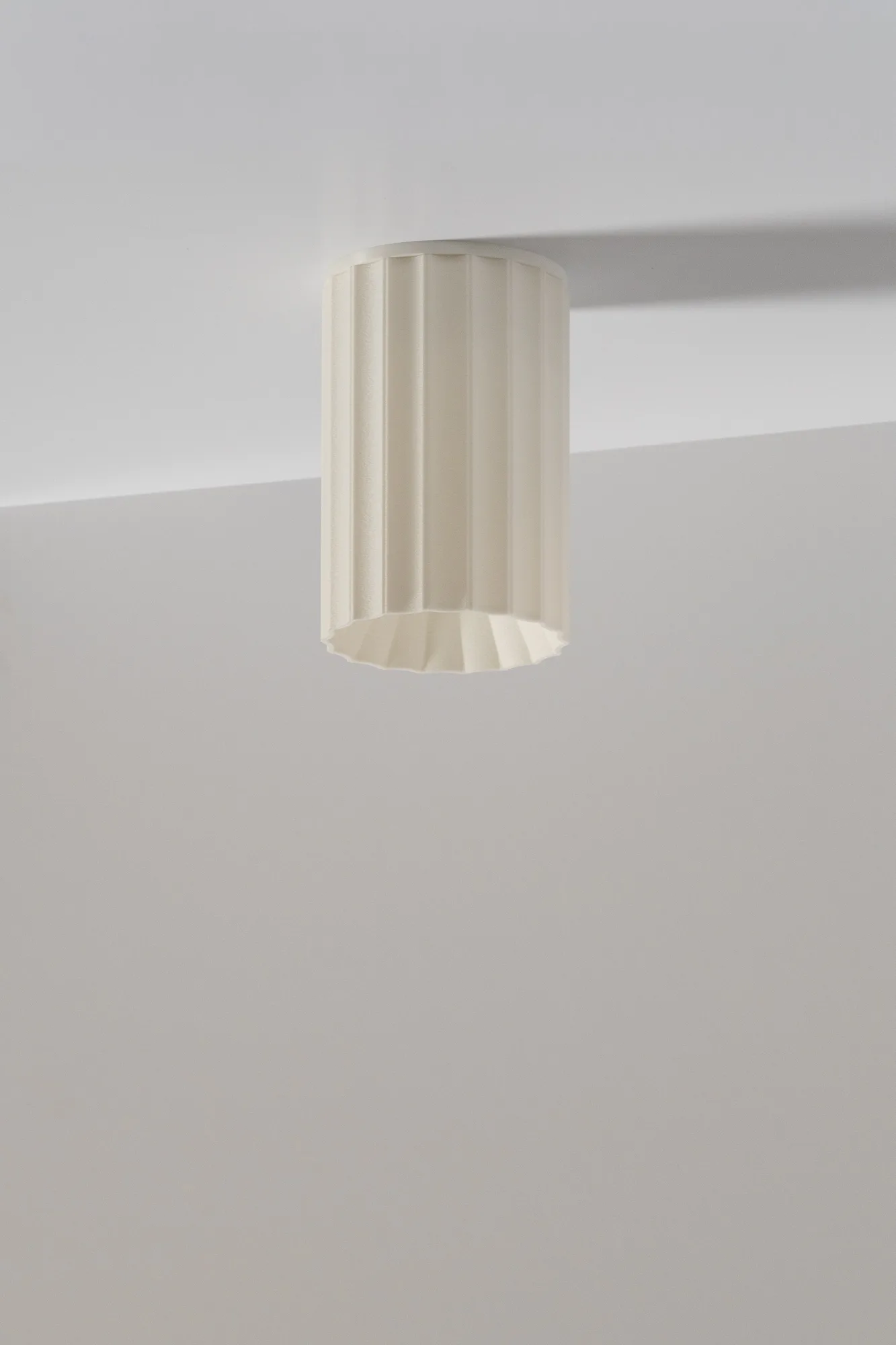 PALIA 05