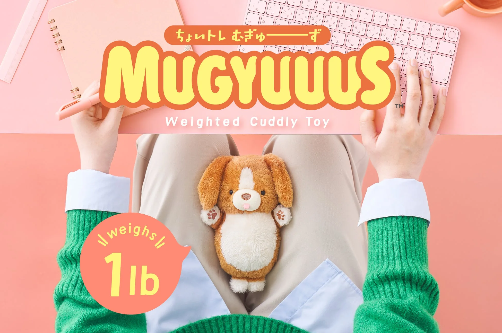 MUGYUUUS Zakka: Co to je a jak je vystavit