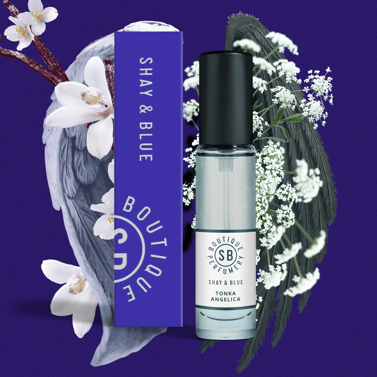 Tonka Angelica 10ml: Hướng dẫn mua Gourmand nhỏ gọn
