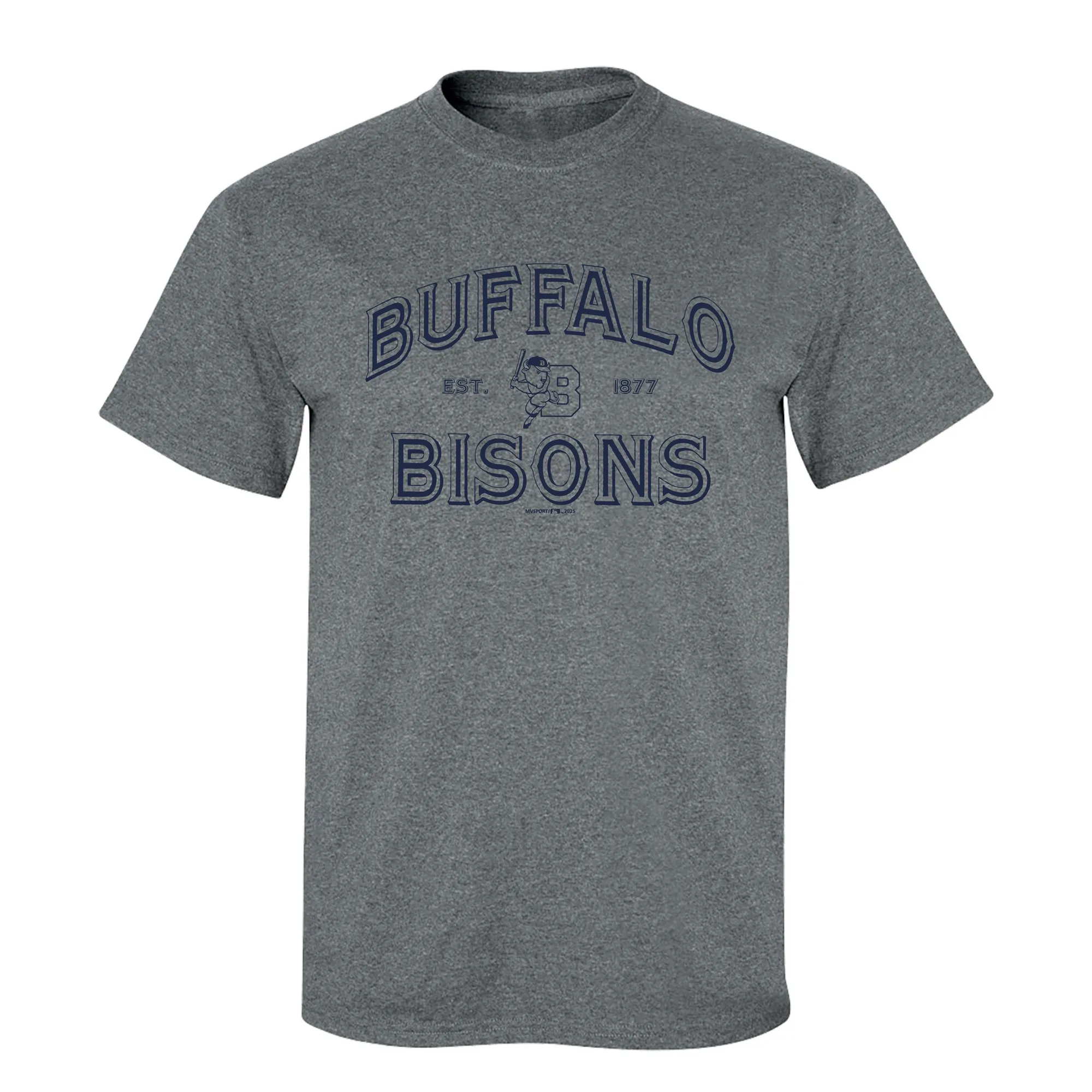 Guia de estilo da t-shirt Buffalo Bisons Grey Game Stencil