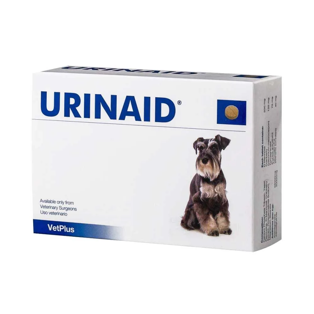 Suplemento urinário para cães: quando o seu cão precisa?