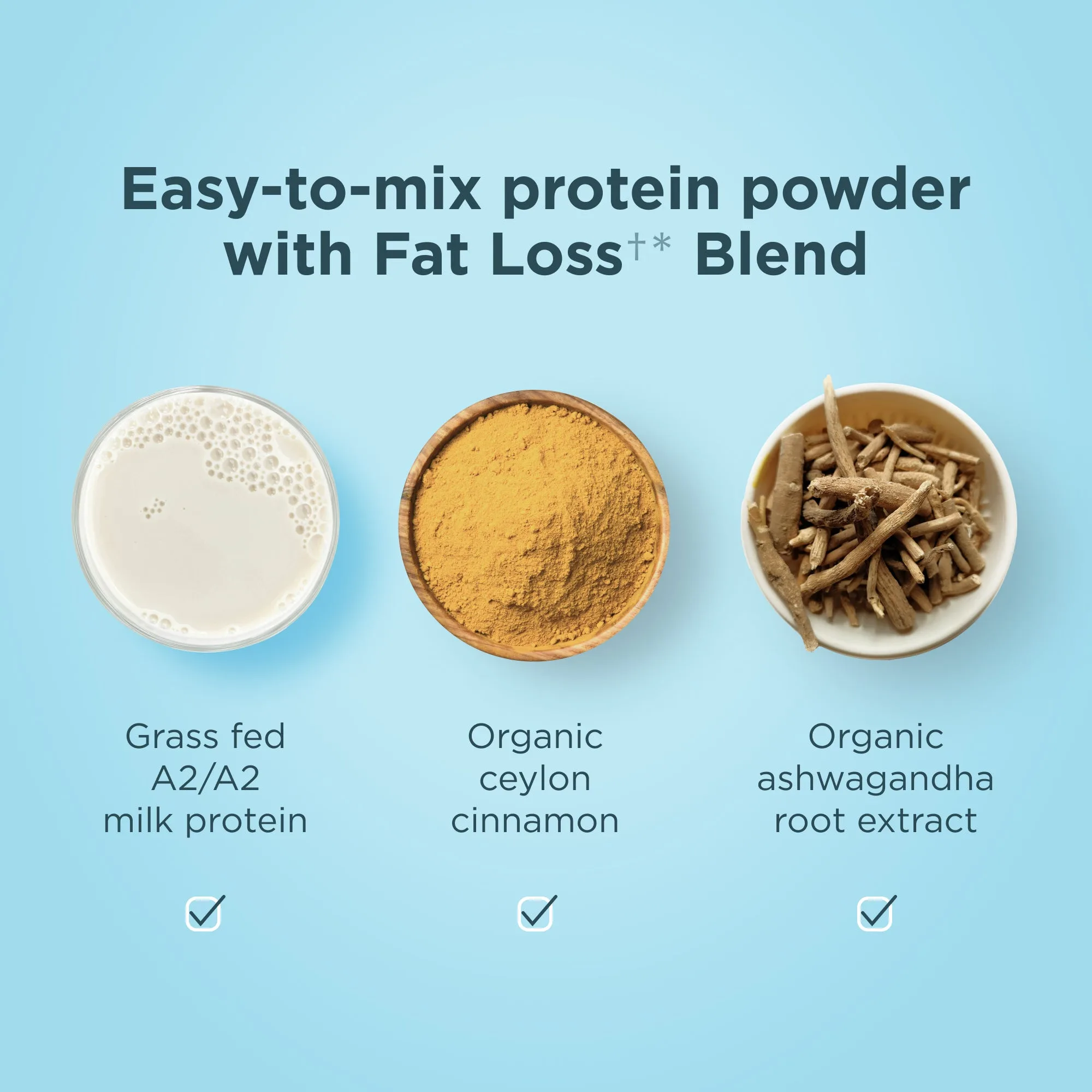 Whey Protein + Fat Loss * Blend