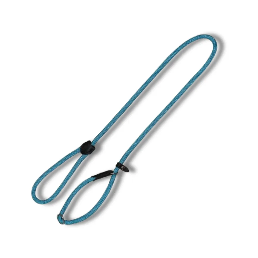 Dog Leash Training Tips: Choosing the Right Leash for Every Scenario
