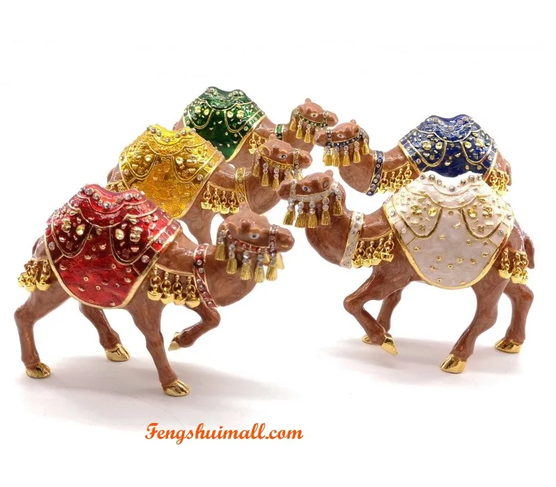Cash Flow Camels