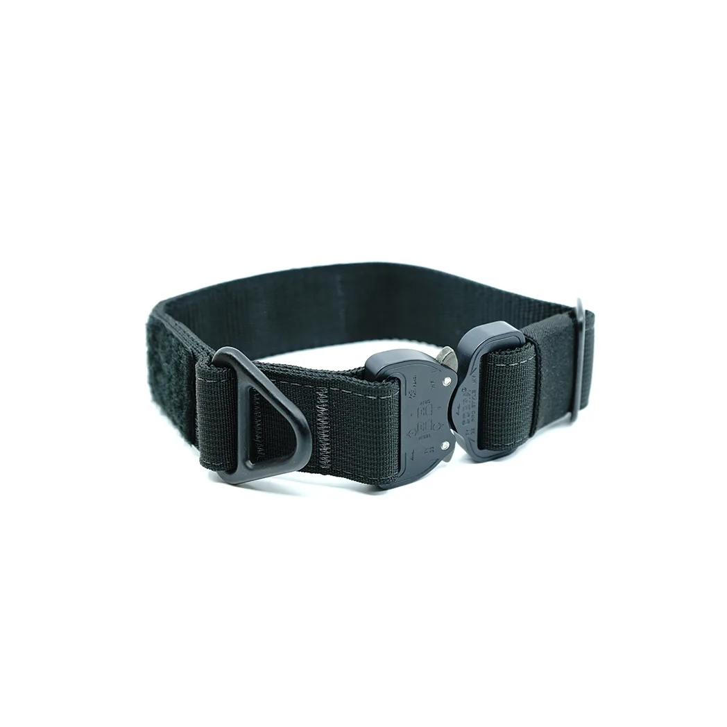 Everyday Collar 1.5"