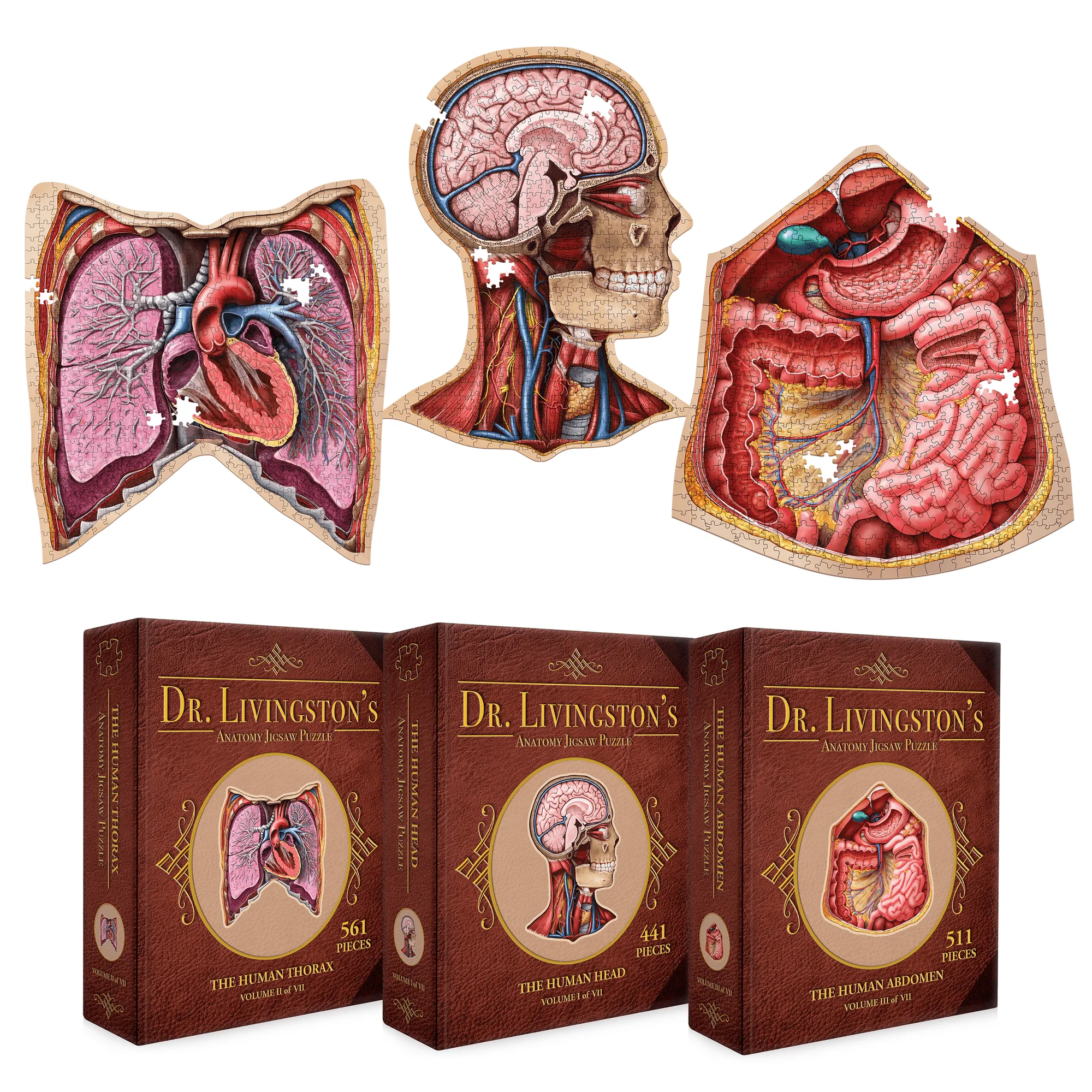Human Anatomy Jigsaw Puzzle Bundle: What's Inside