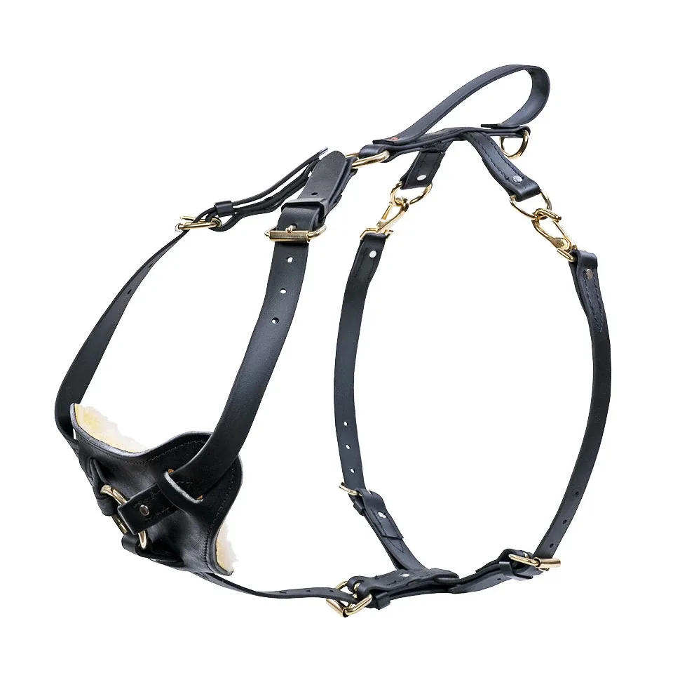 Biothane Multifunction Harness