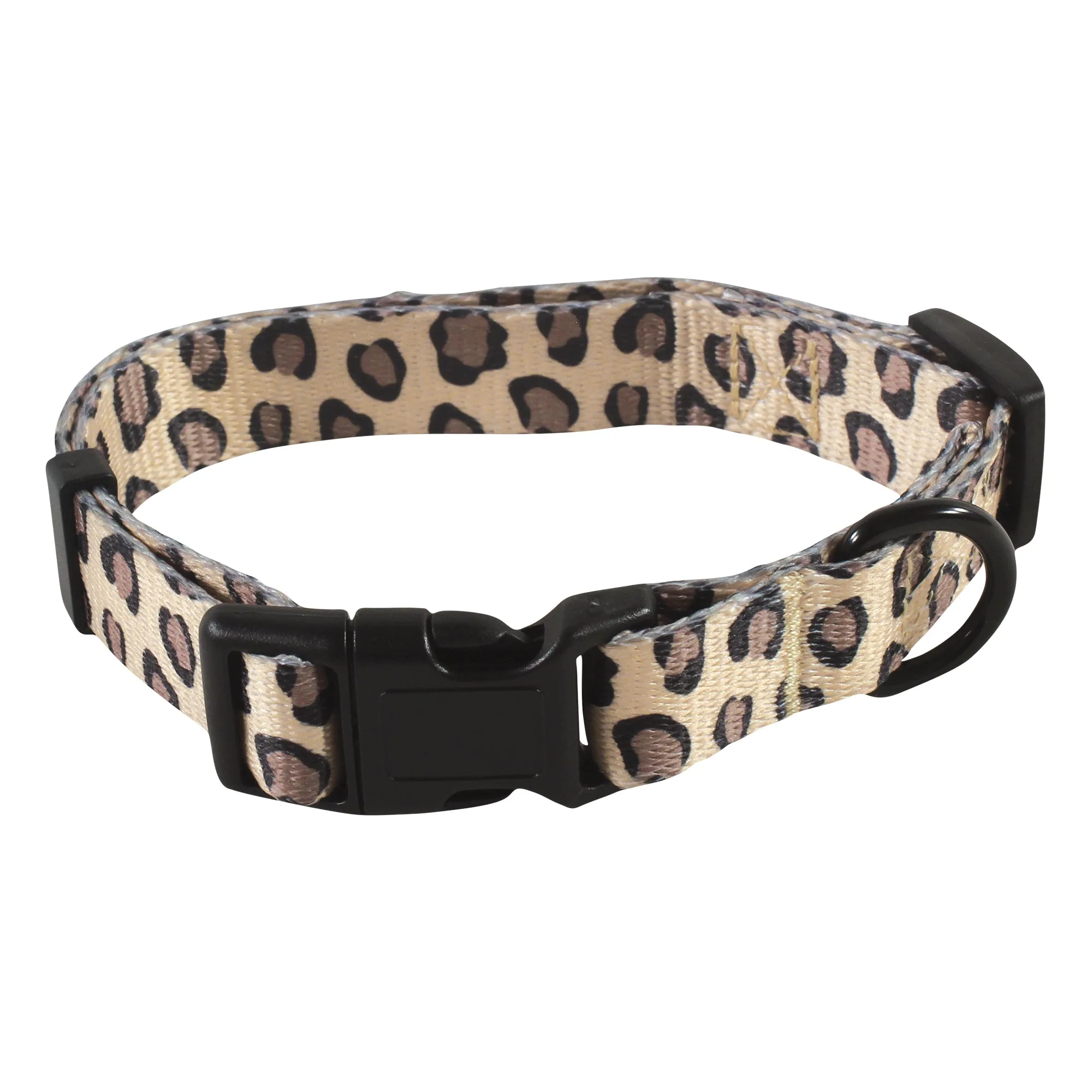 How to Choose a Pet Collar for Your Cat or Small Dog