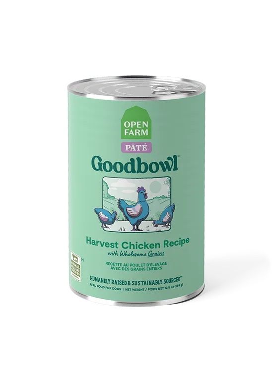 Wet Dog Food Textures Compared: Pâté, Stew, and Gently Cooked Explained