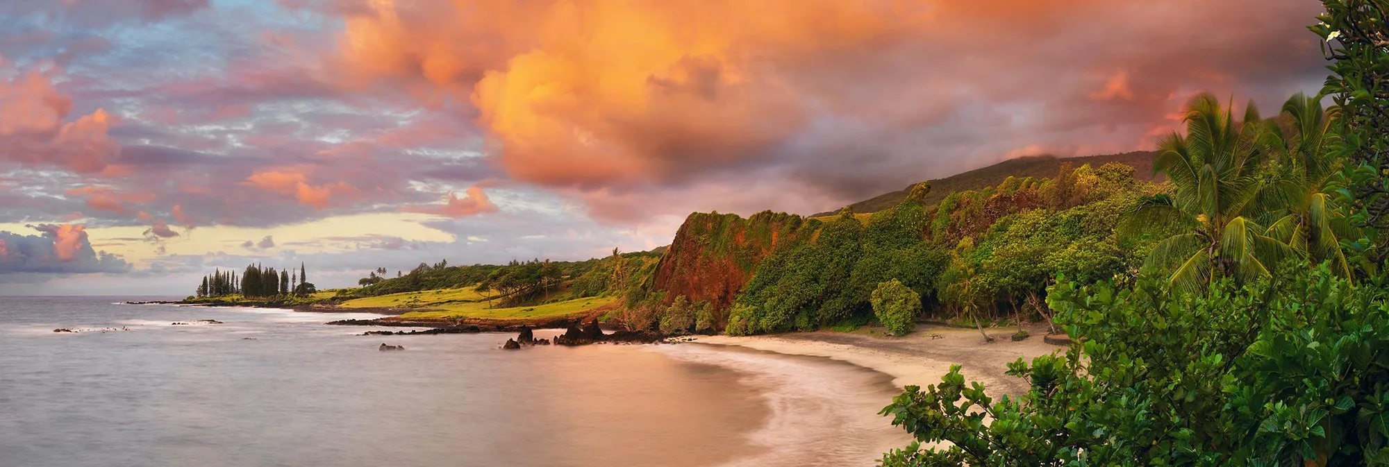 Award Winners vs Premier Images: Which LIK Fine Art Collection Is Right for You?
