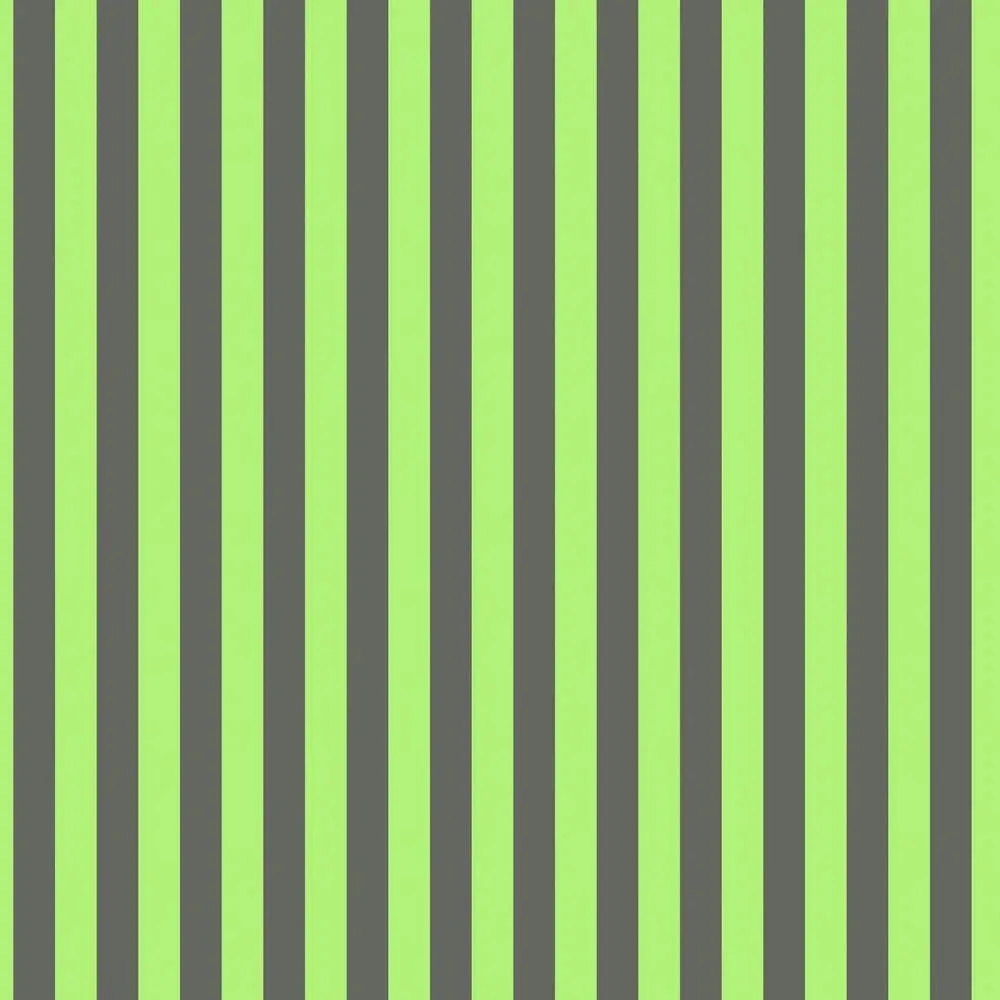 Tula Pink Neon True Colors Tented Stripes - Karma 1/2 yd