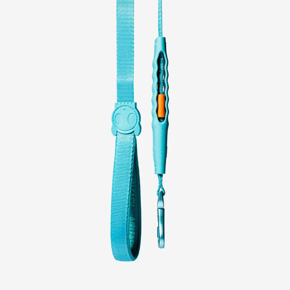How to Store and Organize Your Dog's Leashes and Collars