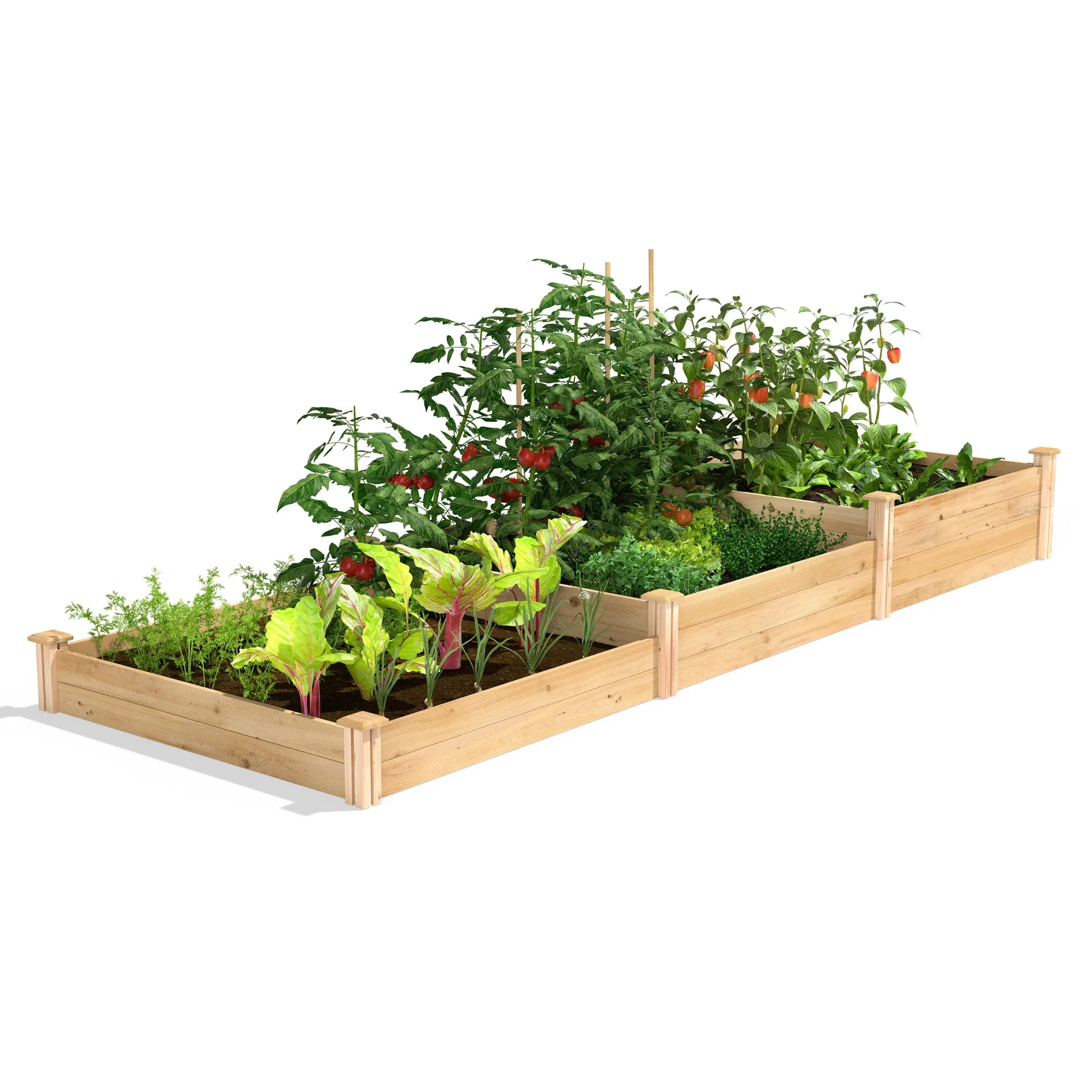 Letto rialzato da giardino in cedro premium a 3 livelli 4 piedi x 12 piedi (spessore 3/4 di pollice) RC2T10S31B
