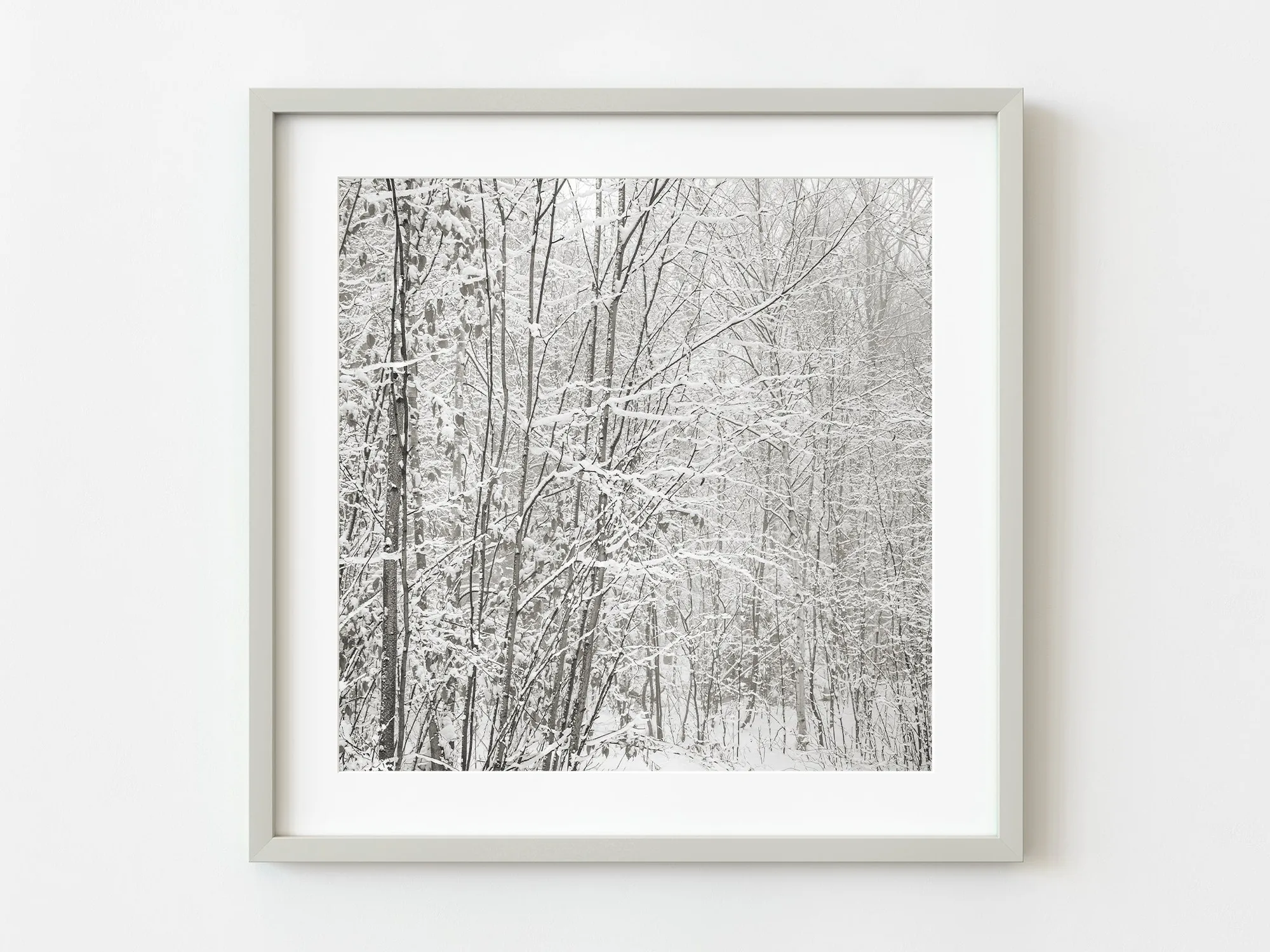 Encadrer un print de forêt de bouleaux enneigée pour un look cosy