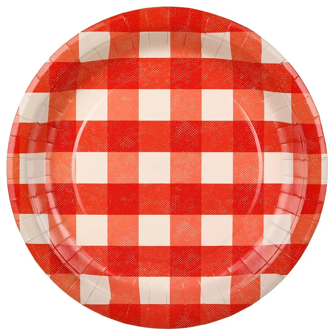 Red Checkered Gingham Picnic & Barbecue Round Paper Plates 27cm – Pack of 6