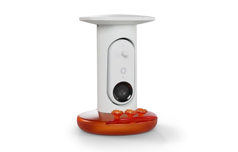 Expert Tips for Cleaning Your Smart Hummingbird Feeder