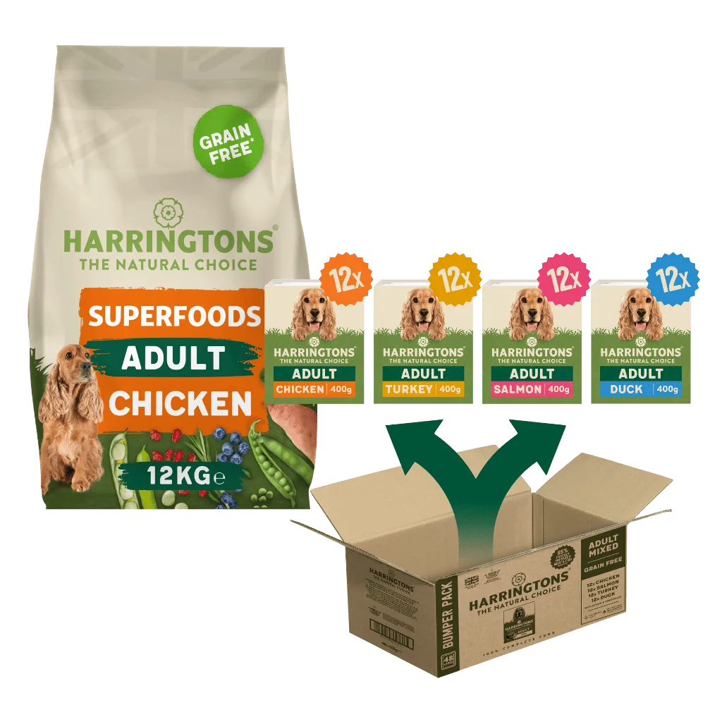 Wet and Dry Dog Food Bundle: How to Portion Correctly