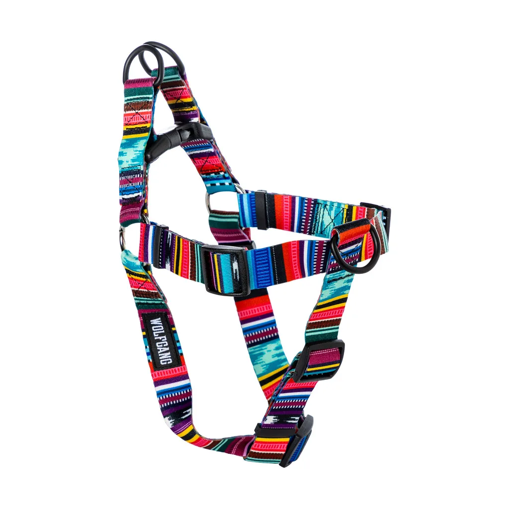 How to Choose a Dog Harness for Hiking and Outdoor Adventures