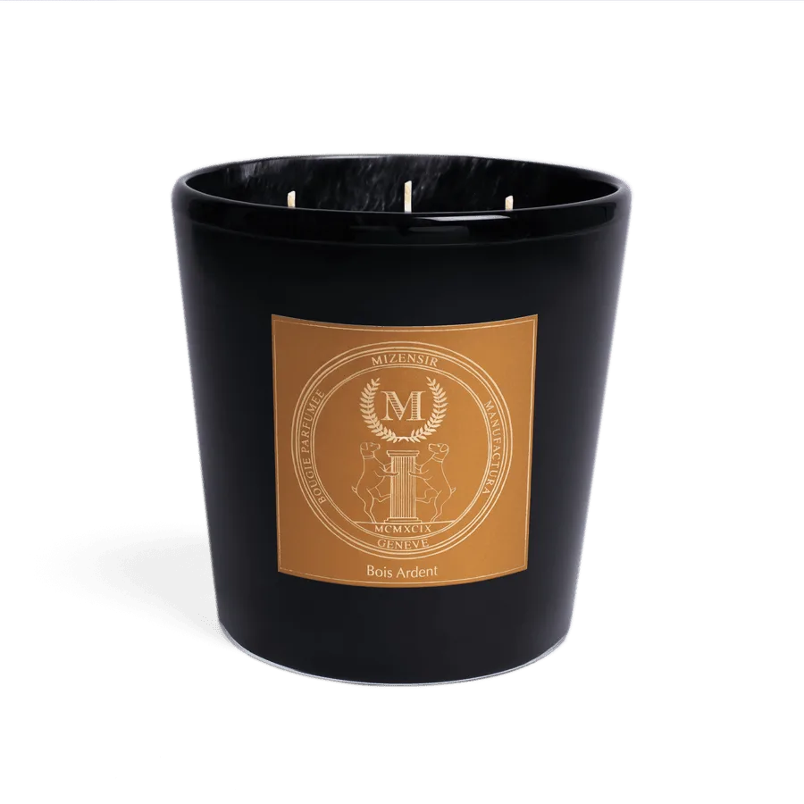 Santal Noir vs Feuille de Basilic: Which Mizensir Candle Wins?