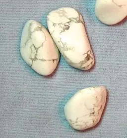 Howlite - Tumbled 3/4" & up