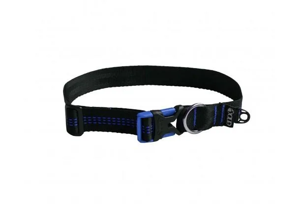 Guida all'acquisto del collare reCollar™: vestibilità, materiali e sicurezza