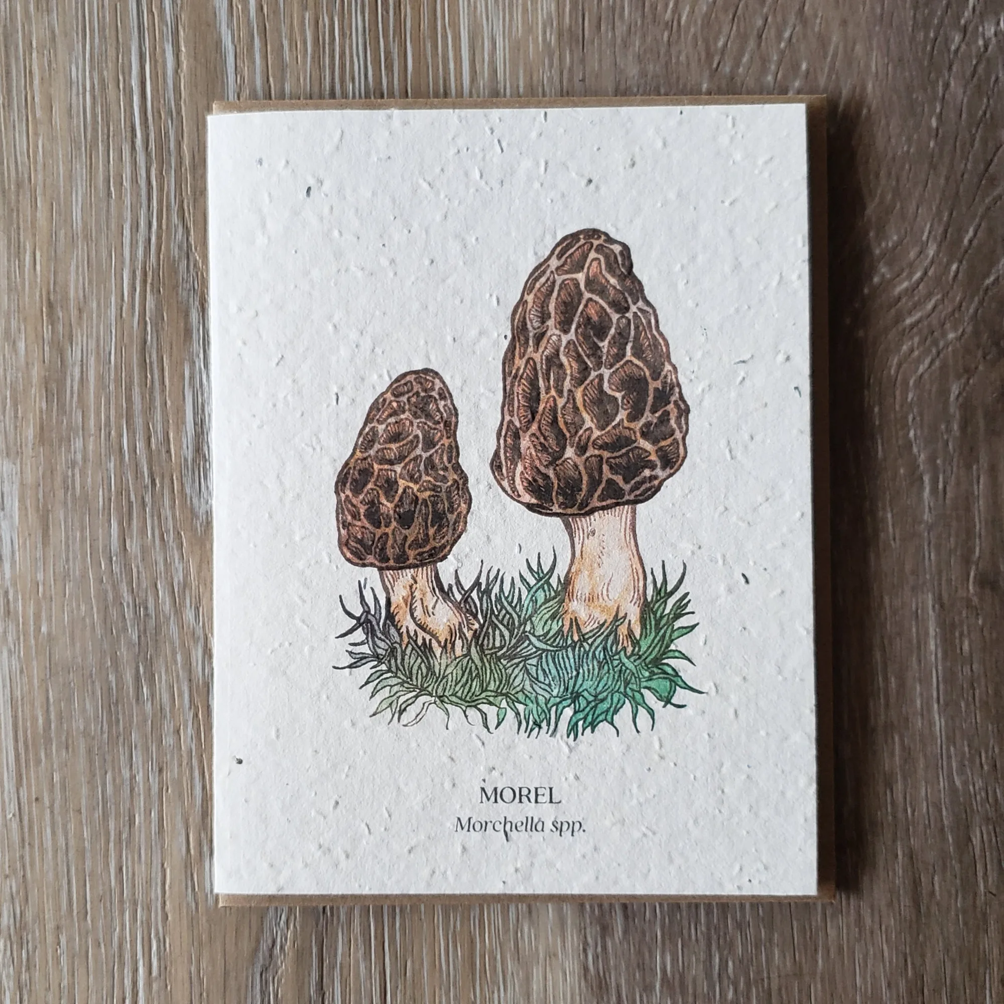 "Morel" Plantable Greeting Card