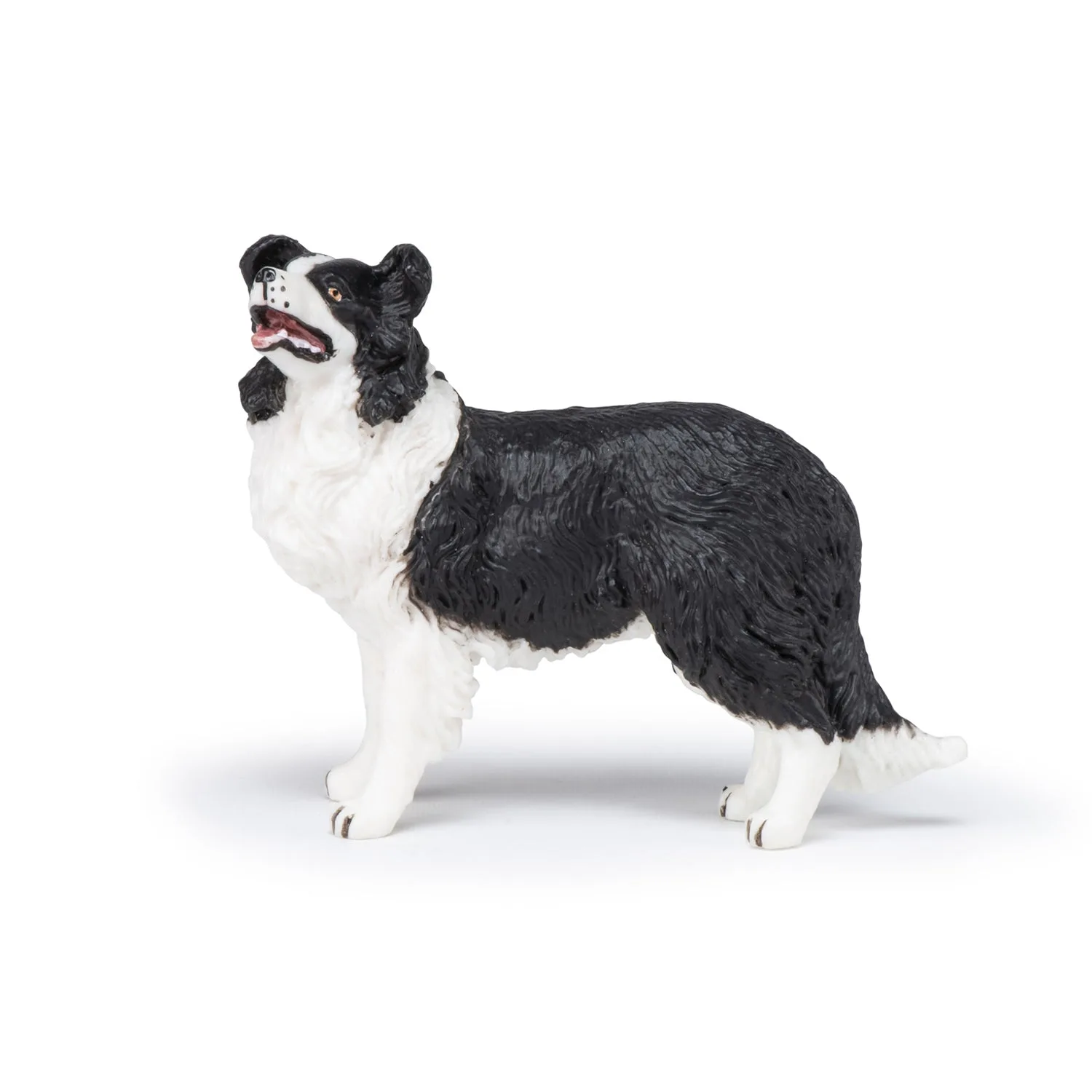 Teckel ou Border Collie: qual figura de cão para o seu filho?