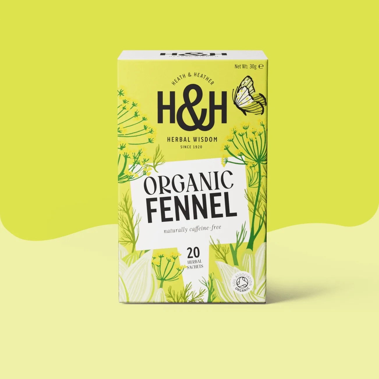 Green Tea & Ginger vs Turmeric Root Brew: Which Spiced Tea Is Right for You?