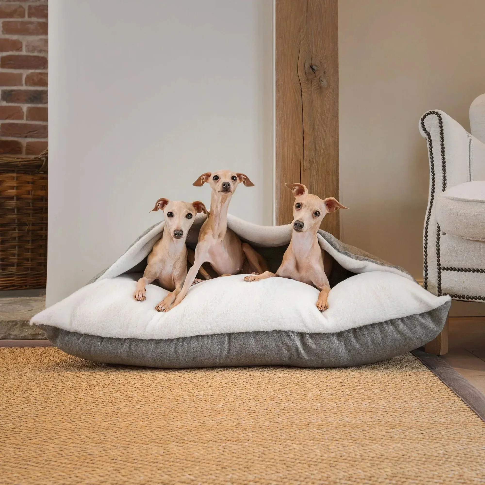 Camas de forro polar para perros: comodidad y calidez